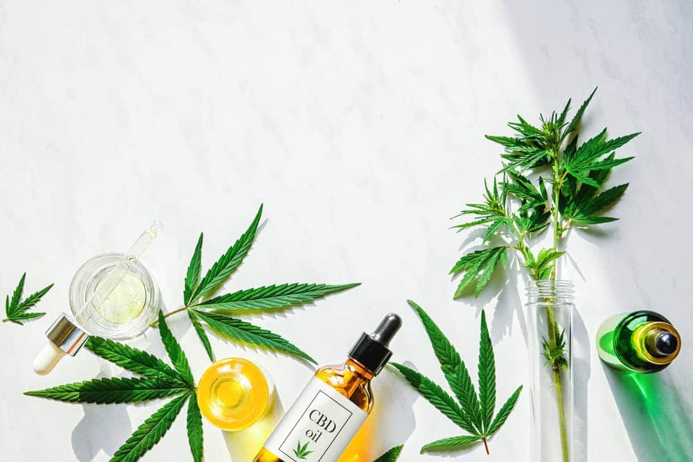 Business Banking for CBD companies